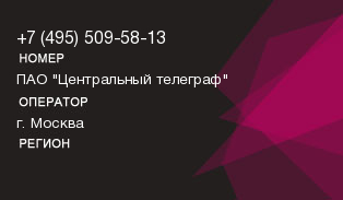 4955095813
